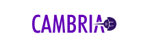 Cambria Software - Top Staff Augmentation Services Providers Cambria Software