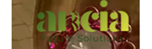 Ancia Future Services 