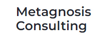 Metagnosis Consulting