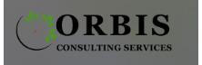 Orbis Consulting Services