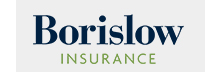 Borislow Insurance