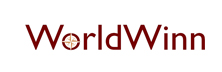 WorldWinn Consulting - Top Executive Coaching Companies In Canada WorldWinn Consulting