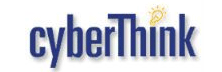 CyberThink Inc