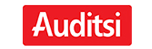 Auditsi
