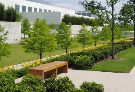 Building a Culture of Well-Being in the Corporate Landscape